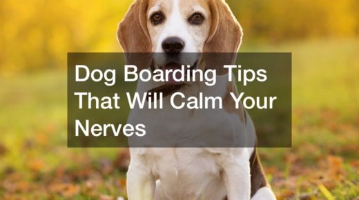 Dog Boarding Tips That Will Calm Your Nerves