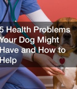 5 Health Problems Your Dog Might Have and How to Help