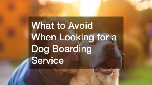 What to Avoid When Looking for a Dog Boarding Service