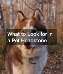 What to Look for in a Pet Headstone