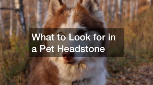 What to Look for in a Pet Headstone