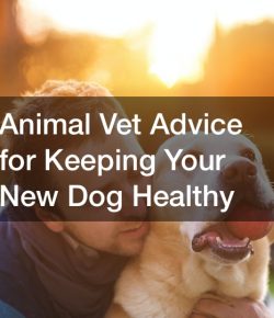 Animal Vet Advice for Keeping Your New Dog Healthy