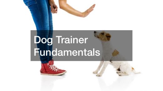 Dog Trainer Fundamentals