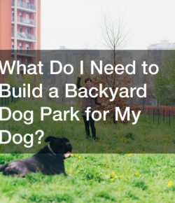 What Do I Need to Build a Backyard Dog Park for My Dog?