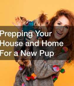 Prepping Your House and Home For a New Pup