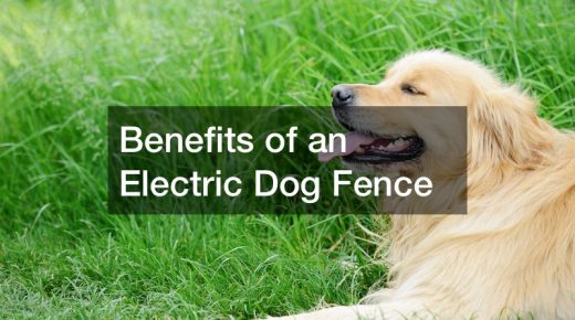 Benefits of an Electric Dog Fence