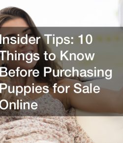 Insider Tips  10 Things to Know Before Purchasing Puppies for Sale Online