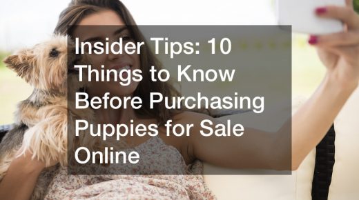 Insider Tips  10 Things to Know Before Purchasing Puppies for Sale Online